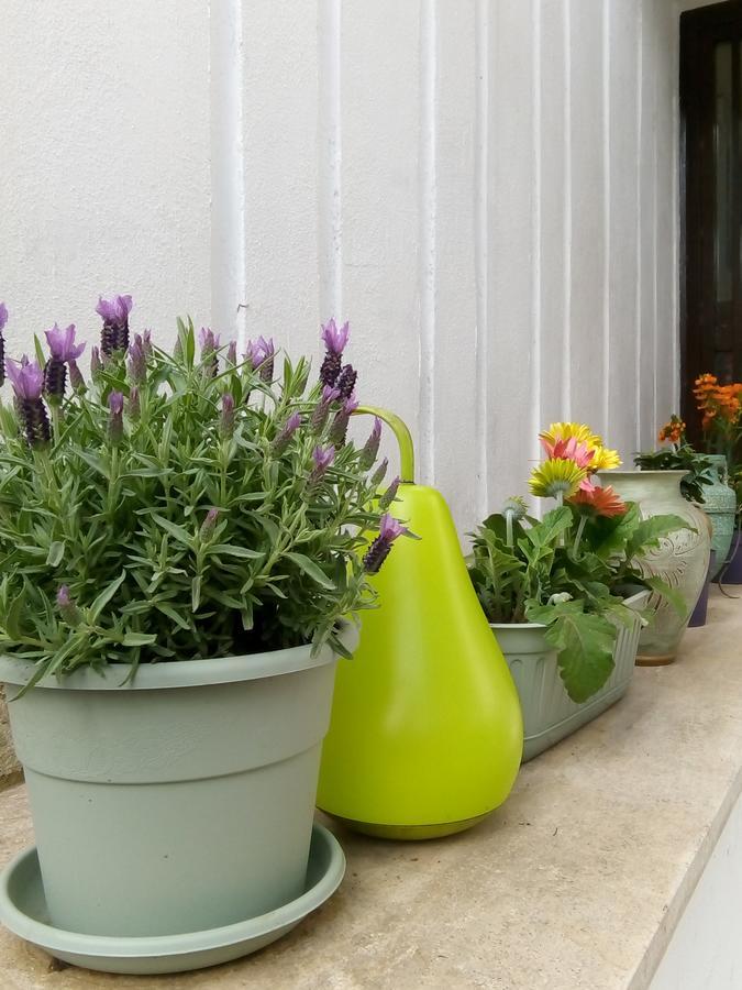 Aquarius Rome Bed and Breakfast Εξωτερικό φωτογραφία